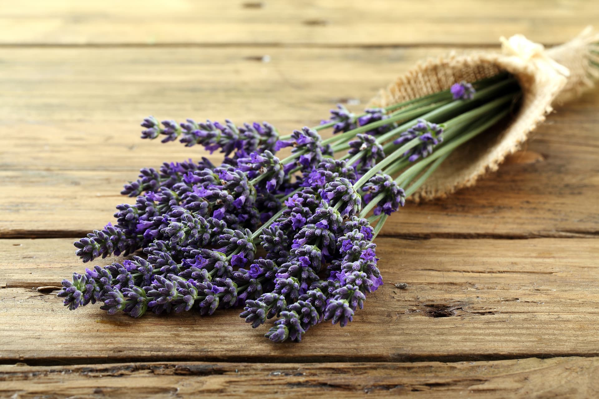 Cosmética orgánica