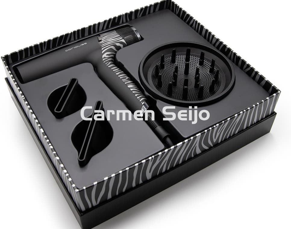 Corioliss Secador BLDC Whisper Silver Zebra - Imagen 2